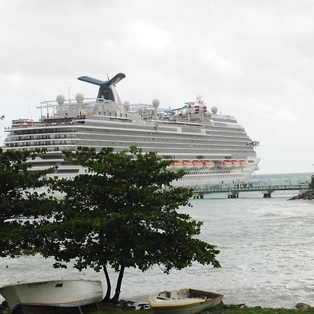 Aileen Palm Cove Ja Ocho Rios Exterior photo